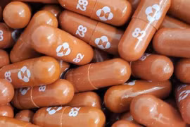 Thuốc Molnupiravir (Ảnh - Reuters)