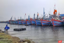 Tàu thuyền về neo đậu tại âu thuyền Thọ Quang (Đà Nẵng) để tránh bão số 5