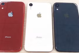 iPhone XC sẽ có 1 camera phía sau, khung nhôm, màn hình LCD