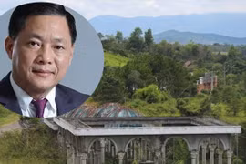 Công ty kiểm toán DFK "phù phép" năng lực tài chính giúp ông Nguyễn Cao Trí gia hạn dự án Đại Ninh