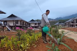 Diện mạo Làng Nủ mới trên đồi Sim