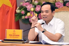 Phó Thủ tướng Trần Lưu Quang chủ trì phiên họp.
