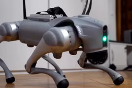 Chó robot