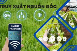 Làm sao để ăn sạch, uống ngon, dùng hàng chính hãng? Bài 2- Thực tiễn truy xuất nguồn gốc ở Mỹ và EU