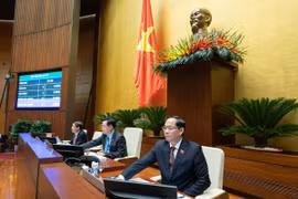 Đại biểu Quốc hội ấn nút biểu quyết thông qua dự án Luật sửa đổi, bổ sung một số điều của Luật Tần số vô tuyến điện