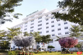 Bộ GD-ĐT vừa cho phép trường ĐH Đông Á (Đà Nẵng) tuyển sinh và đào tạo ngành Dược trình độ Đại học từ năm 2019 với chỉ tiêu 100 sinh viên trong năm đầu tiên. 