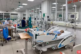 Người đàn ông nhập viện với triệu chứng nghiêm trọng chỉ vì bị mèo cào