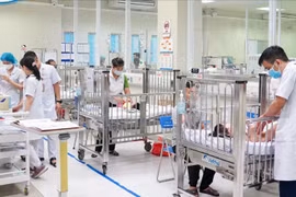 Phụ huynh nấu nhầm cháo hoa thuỷ tiên, 2 cháu bé phải nhập viện cấp cứu