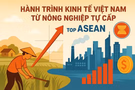 Ảnh minh họa
