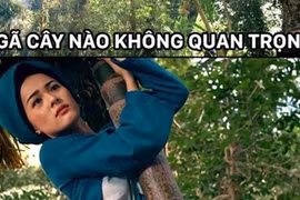 Ảnh minh họa