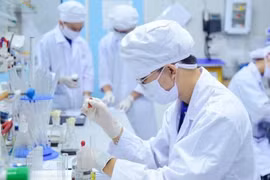 Kiến trúc sư trưởng cấp tỉnh được hưởng nhiều chính sách hỗ trợ tương đương phó chủ tịch UBND tỉnh