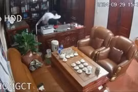 Động thái của Trường THPT Tô Hiến Thành sau clip Chủ tịch HĐQT 'thân mật' với nhiều phụ nữ