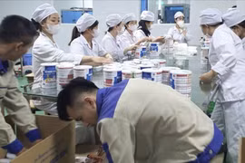 Vụ 573 nhãn hiệu sữa giả: Ông chủ đường dây "chạy án" 150.000 USD, gặp phải kẻ lừa đảo