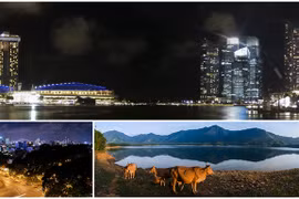 Hướng dẫn ghép ảnh Panorama thủ công: Chất lượng & độ phân giải cao, hữu dụng cho điện thoại
