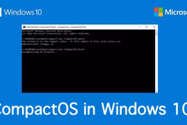 Google công bố lỗ hổng bảo mật của Windows
