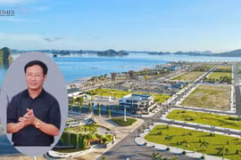 Hé mở Indevco Group của doanh nhân Đỗ Thành Trung.