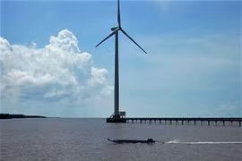 Tháp điện gió tại một tỉnh Đồng bằng sông Cửu Long đã được đưa vào vận hành. Ảnh minh họa: Trung Chánh
