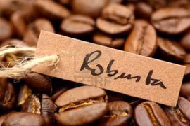 Việt Nam xuất khẩu cafe vối lớn nhất thế giới nhưng không có thương hiệu cụ thể - (Ảnh minh họa).