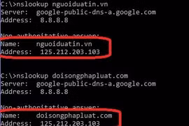 Máy chủ của Nguoiduatin.vn và Doisongphapluat.com được đặt trên cùng một server- (Ảnh: BKAV).