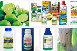 Cục Bảo vệ thực vật đang tiến hành rà soát toàn bộ lượng thuốc bảo vệ thực vật nhập khẩu trong 5 năm gần đây- (Ảnh minh họa).