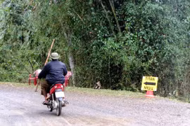  Đường vào phim trường ở thôn Yên Phú