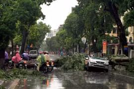 Cơn bão số 1 vừa quét qua tuần trước đã để lại nhiều thiệt hại nặng nề.