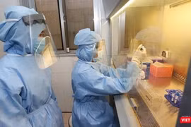 Bệnh nhân 91 phi công người Anh được xét nghiệm COVID-19 hàng ngày để xác định virus SARS-CoV-2 (Ảnh: BYT) 