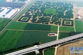  Công viên QR Code