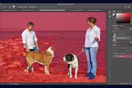 AI của Adobe sẽ giúp xác định chủ đề và nền trong những bức hình phức tạp tốt hơn. ẢNH: ADOBE