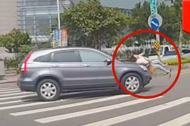 Với tỉ lệ tử vong giữa ô tô và người đi bộ ngày càng gia tăng, NHTSA sẽ đưa hạng mục đánh giá khả năng bảo vệ người đi bộ vào danh mục kiểm nghiệm SUV/Bán tải, bắt đầu từ năm 2019 (nguồn: YouTube)