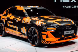 Trong thời gian tới, các mẫu xe điện sẽ là mục tiêu phát triển của Audi.