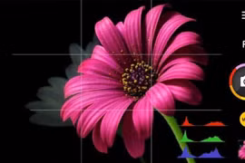 Camera Zoom FX