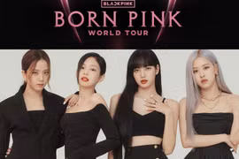 Phe vé Born Pink điêu đứng trước tình trạng cung lớn hơn cầu (Ảnh: Facebook)