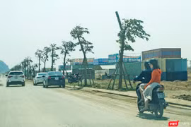 Có 8 sàn giao dịch BĐS tại Đà Nẵng đã chấm dứt hoạt động