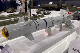 Tên lửa không đối đất hạng nhẹ LMUR “Izdeliye 305”. Ảnh Russian Gazeta.