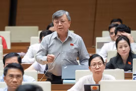 Đại biểu Trương Trọng Nghĩa - Đoàn ĐBQH TP HCM - nêu ý kiến thảo luận nội dung liên quan đến sách giáo khoa. (ảnh quochoi.vn)