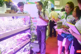 Liệu vườn rau thông minh có phải là giải pháp giảm thiểu nhiễm độc từ thực phẩm? 