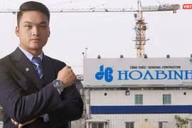 Ông Lê Viết Hiếu làm Phó Chủ tịch HBC, Trưởng Tiểu ban Phát triển thị trường nước ngoài