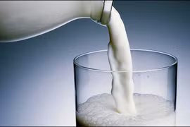 Nhập nhèm sữa bột, sữa tươi 