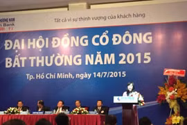 Bà Nguyễn Thị Phi Loan phát biểu tại ĐHCĐ Southern Bank 