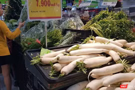 Hình minh họa