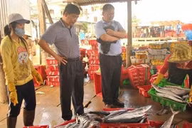 Trương lái Trung Quốc đến tận nơi thu mua cá Việt Nam