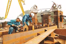 Giám sát tài chính đặc biệt khi DNNN có dấu hiệu mất an toàn tài chính