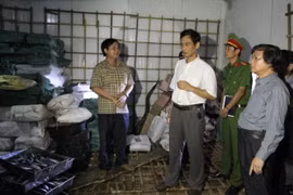 Lãnh đạo các ngành y tế, nông nghiệp ở Quảng Trị kiểm tra lô cá nục bị nhiễm phenol chiều 11-6 - Ảnh: Quốc Nam