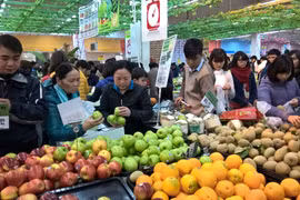 Năm 2015 thực sự là năm “dậy sóng” đúng nghĩa của thị trường bán buôn, bán lẻ Việt Nam