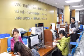 Ảnh minh họa. (Nguồn: TTXVN)