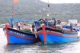 Tàu QNg 98495 của ông Huỳnh Văn Thạch cùng 10 ngư dân được tàu cá QNg 94429 lai dắt về tới đồn biên phòng Mân Quang, Đà Nẵng - Ảnh: Trường Trung
