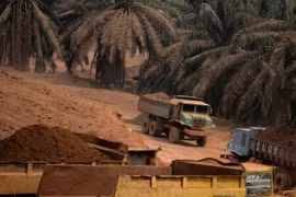 Khu vực khai thác quặng bauxite tại khu đất của nông dân Surin Beris trước đây từng trồng cây cọ - Ảnh: AFP