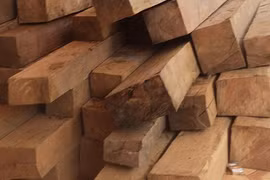 Huyện xin công an tỉnh trả gỗ cho “lâm tặc”