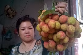 Vải thiều đầu mùa “hét” giá 90.000 đồng/kg
